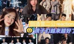 爆料综艺沈心宁视频全集,揭秘明星幕后生活点滴