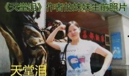 天国泪全集在线观看,感人至深的情感史诗